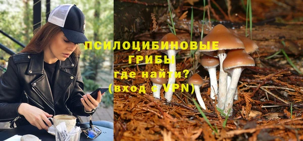 МДМА Горнозаводск