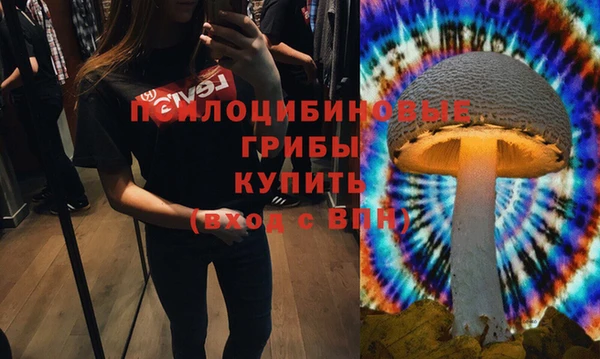 mdma Горняк
