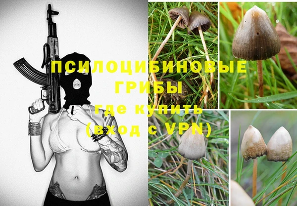 МДМА Горнозаводск
